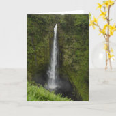 Akakaの滝 カード (黄色い花)