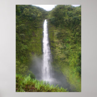 Akaka Falls Hilo, Hawaii ポスター