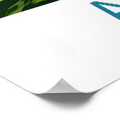 Akaroa Vintage Travel Poster Ski National Park ポスター (角)