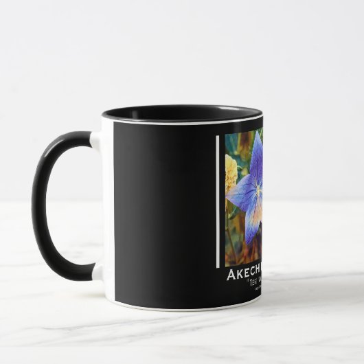 Akechi Mitsuhide [Combo Mug] マグカップ (左)