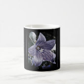 Akechi Mitsuhide [Morphing Mug] モーフィングマグカップ (中央)