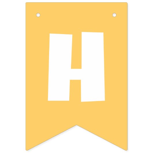 Akili Buntingバナー バンティングフラッグ (第2の旗)