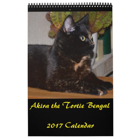 Akira the Tortie Bengal 2017中カレンダー カレンダー (カバー)