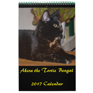 Akira the Tortie Bengal 2017中カレンダー カレンダー