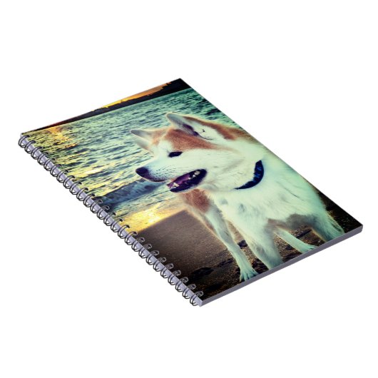 Akita ノートブック (右側)