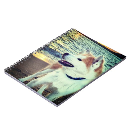 Akita ノートブック (左側)