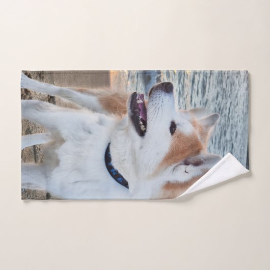 Akita  ハンドタオル (ハンドタオル)