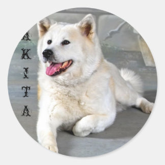 Akita ラウンドシール
