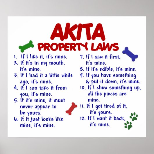 AKITA PL2 ポスター (正面)