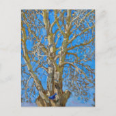 Akseli Gallen-Kallela – クラックウィローとブルーバード ポストカード (正面)