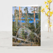 Akseli Gallen-Kallela – 荒野の湖 カード (黄色い花)