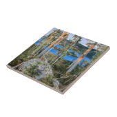 Akseli Gallen-Kallela – 荒野の湖 タイル (側面)