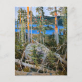 Akseli Gallen-Kallela – 荒野の湖 ポストカード (正面)