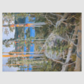 Akseli Gallen-Kallela – 荒野の湖 薄葉紙 (正面)