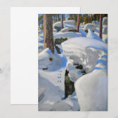 Akseli Gallen-Kallela - Lair of the Lynx サンキューカード (正面/裏面)