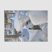 Akseli Gallen-Kallela - Lair of the Lynx 薄葉紙 (正面)