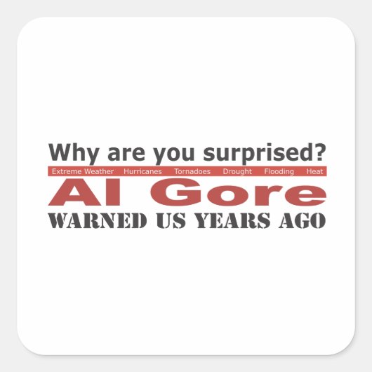 Al Goreは私達を警告しました スクエアシール (正面)