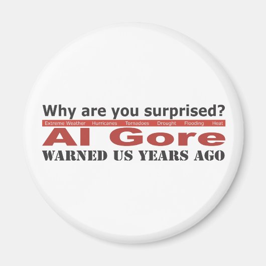 Al Goreは私達を警告しました マグネット (正面)