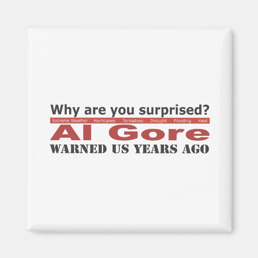 Al Goreは私達を警告しました マグネット (正面)