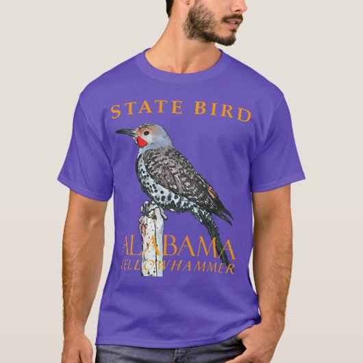 Alabama Territory Bird The Common Flicker Oversize Tシャツ (正面)