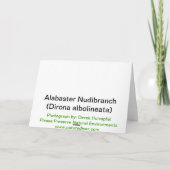 Alabaster Nudibranch (Dirona albolineata) -カード シーズンカード (裏面)