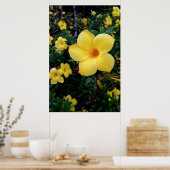 Alamanda ポスター (キッチン)