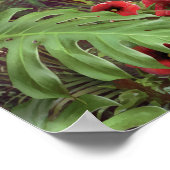 Alan Giana「Can You 想像 2」ポスター ポスター (角)