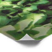 Alan Giana "Dragonfly Garden"ポスター ポスター (角)