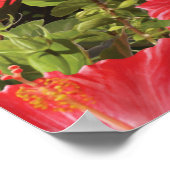 Alan Giana "Hibiscus in Paradise"ポスター ポスター (角)