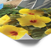 Alan Giana "In the Sunshine 3"ポスター ポスター (角)