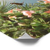 Alan Giana "Pelican Cove"ポスター ポスター (角)