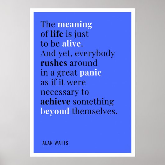 Alan Watts – 人生の意味 ポスター (正面)