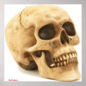 Alas Poor Yorickのポスター ポスター (正面)