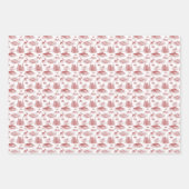 Alaska Toile Wrapping Paper ラッピングペーパーシート (正面)