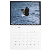 Alaskan Eagles Calendar カレンダー (1月 2026)
