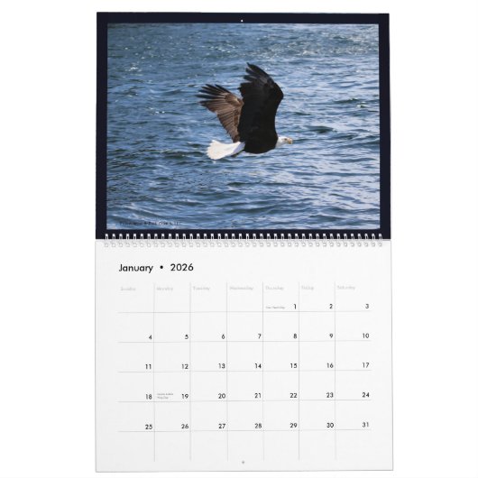 Alaskan Eagles Calendar カレンダー (1月 2026)