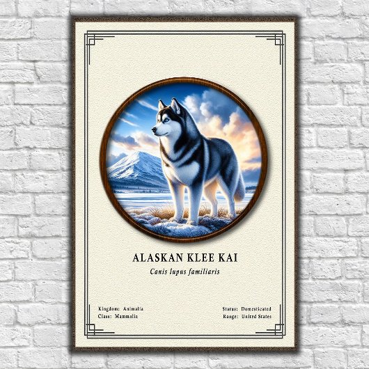 Alaskan Klee Kai Zoology Series ポスター