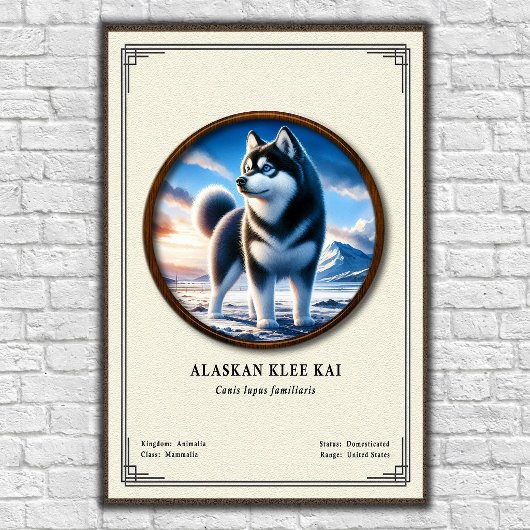 Alaskan Klee Kai Zoology Series ポスター