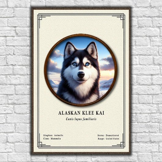 Alaskan Klee Kai Zoology Series ポスター