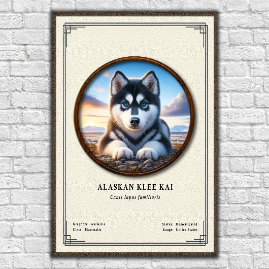 Alaskan Klee Kai Zoology Series ポスター