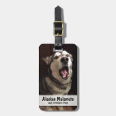 Alaskan Malamuteの記念写真 ラゲッジタグ (正面縦)