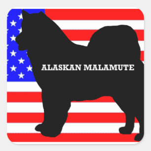 alaskan malamute名前サイロのフラグ スクエアシール