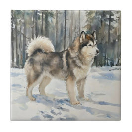 Alaskan Malamute タイル