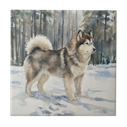 Alaskan Malamute タイル (正面)