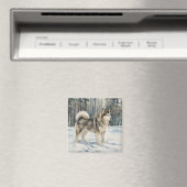 Alaskan Malamute マグネット (インサイチュ (食洗機))