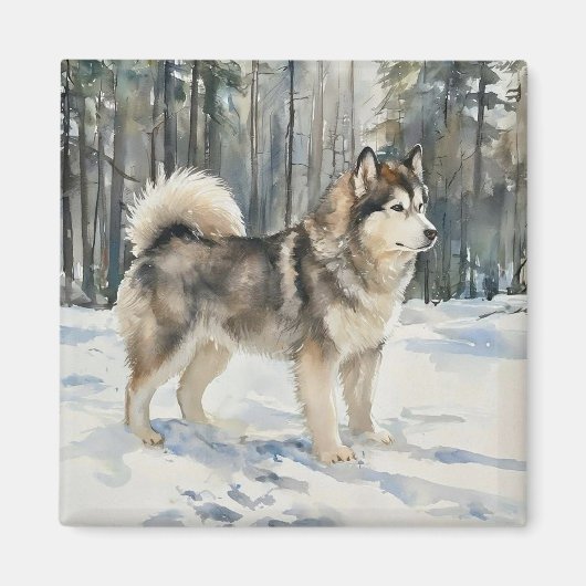 Alaskan Malamute マグネット (正面)