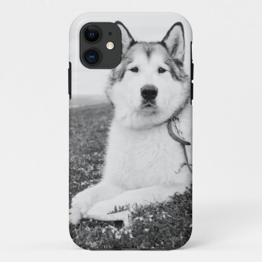 alaskan-malamute bw.png Case-Mate iPhoneケース (裏面)