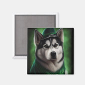 Alaskan Malamute dog in St. Patrick's Day Dress マグネット (正面/裏面)