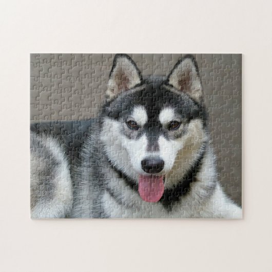 Alaskan Malamute Dog Photo Image ジグソーパズル (横)