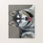 Alaskan Malamute Dog Photo Image ジグソーパズル (縦)